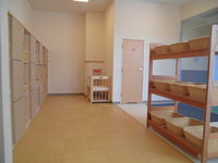 Medium_1 244